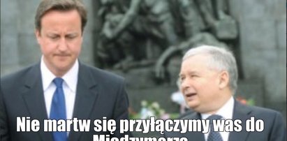 Internauci śmieją się z Brytyjczyków!