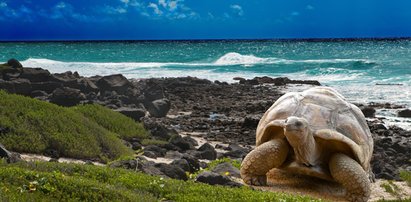 Zakaz odpalania petard i fajerwerków na Galapagos