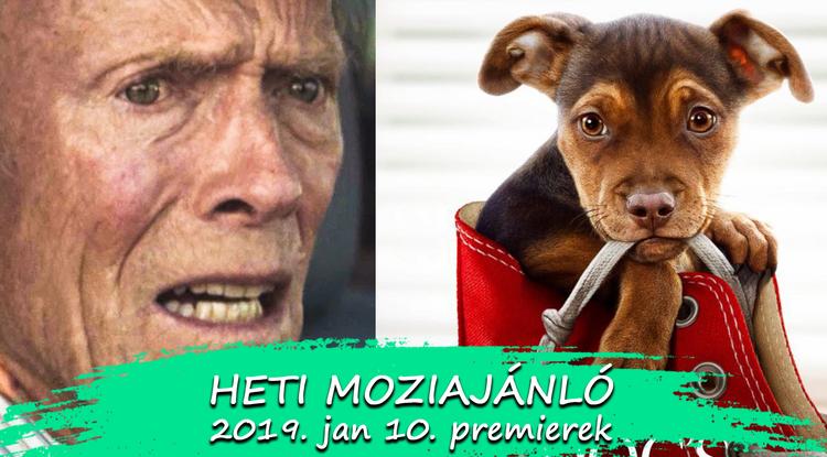 Heti Moziajánló: Január 10.