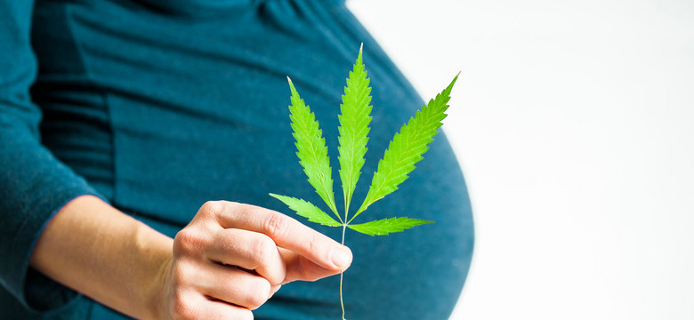 Nawet okazyjne zażywanie marihuany w czasie ciąży szkodzi na przyszłe zdrowie dziecka