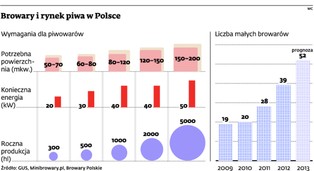 Ile kosztuje uruchomienie małego browaru