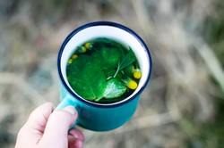 Z owoców zrobisz pyszny dżem, z liści herbatkę na trawienie. Naprawdę działa!