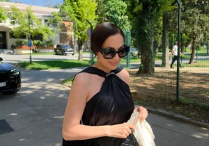 Ceca Ražnatović