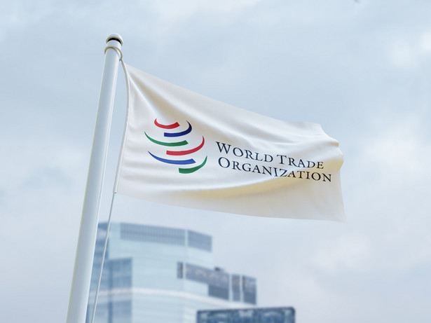 Grupa Wyszehradzka: Oczekujemy od Ukrainy wycofania skargi do WTO