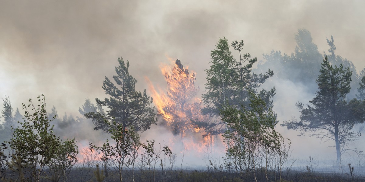 UE ma być neutralna klimatycznie do 2050 r. W tej sprawie PE