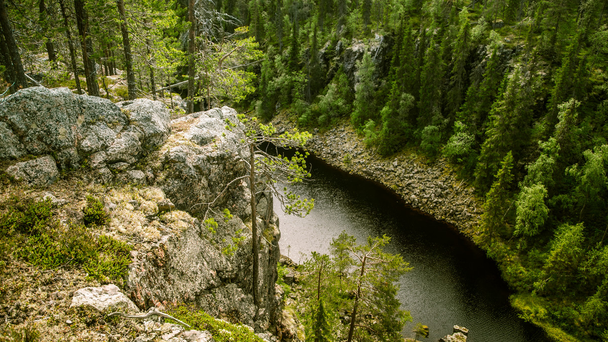 W północno-wschodniej Finlandii jest miejsce, w którym jak w lustrze przegląda się prawie cała fińska przyroda. W parku Hossa znajdują się też prehistoryczne malowidła skalne pokazujące przywiązanie rdzennych mieszkańców do natury.