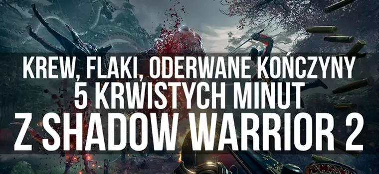 Krew, flaki, oderwane kończyny - 5 krwistych minut z Shadow Warrior 2