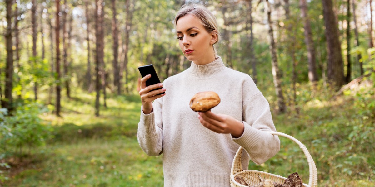 Aplikacje grzybowe pomagają zbieraczom. To się przyda w smartfonie.