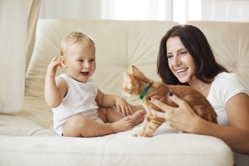 macska cica gyermekvállalás zoonózis toxoplasmosis paraziták