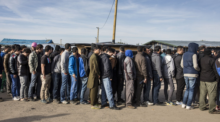 Menekültek Calais-nál /Fotó: Northfoto