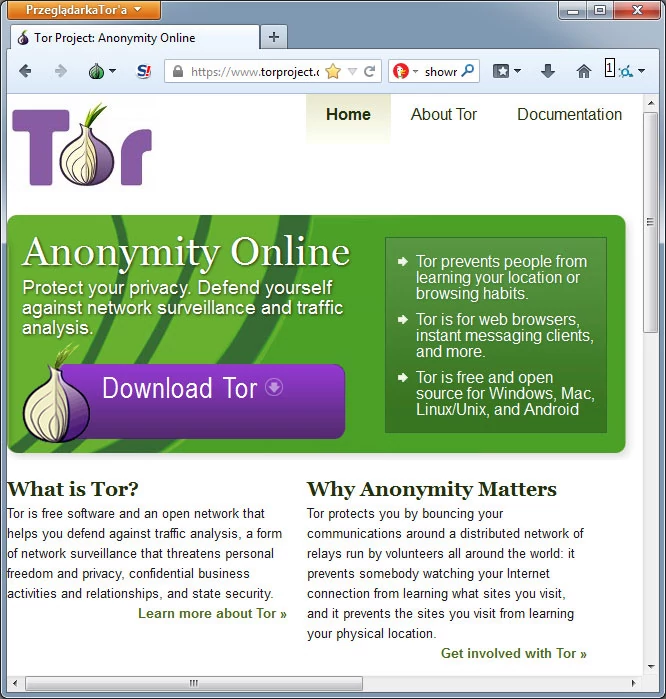 Tor - wszystko, co trzeba wiedzieć o sieci cebulowej