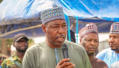 Gov Zulum says there are White men, Asians and Christians among Boko Haram sponsors