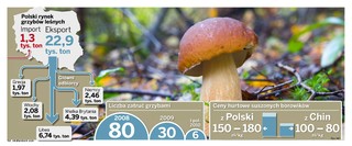 Chiński borowik: gorszy, ale tańszy