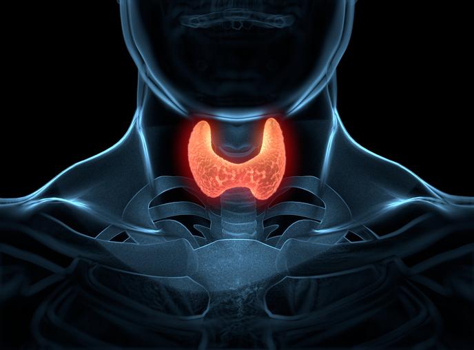 Ízületi fájdalom súlygyarapodás, 10 jel, mely pajzsmirigy betegségre utalhat