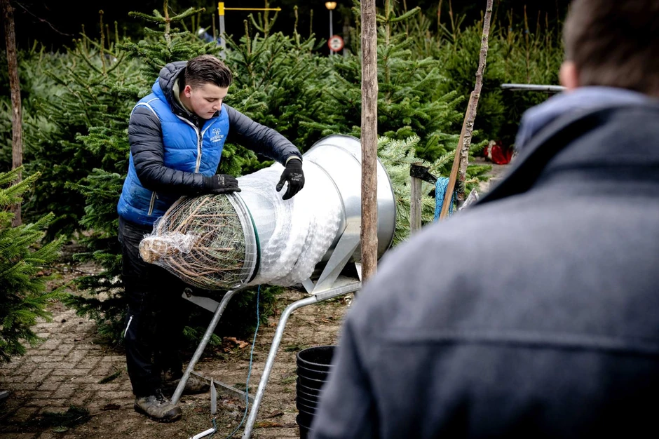 Raznovrsna ponuda jelki