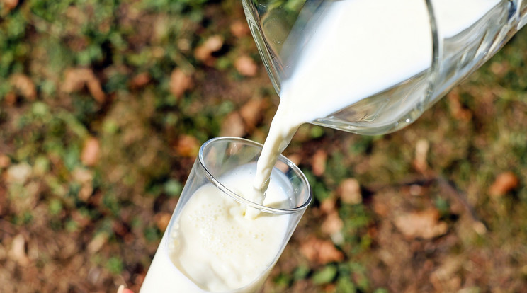 Rendkívüli bejelentés jött az árstopos tejről / Illusztráció / Fotó: Pixabay