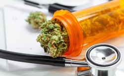 Medyczna marihuana a endometrioza. Czy może pomóc w walce z dolegliwościami?