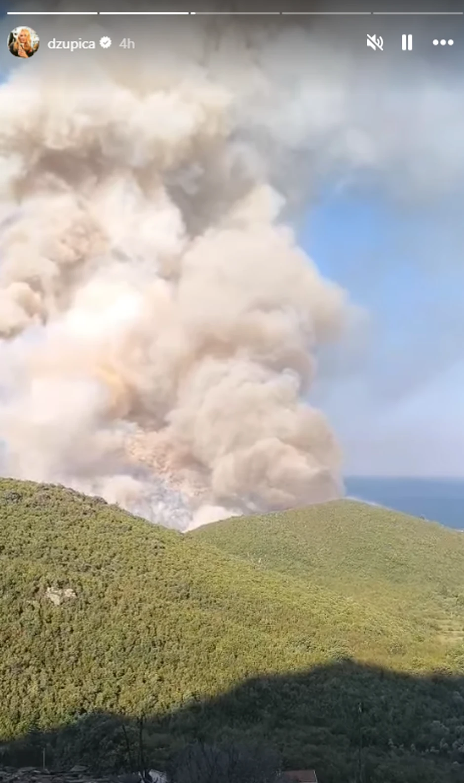 Jugoslava Drašković objava