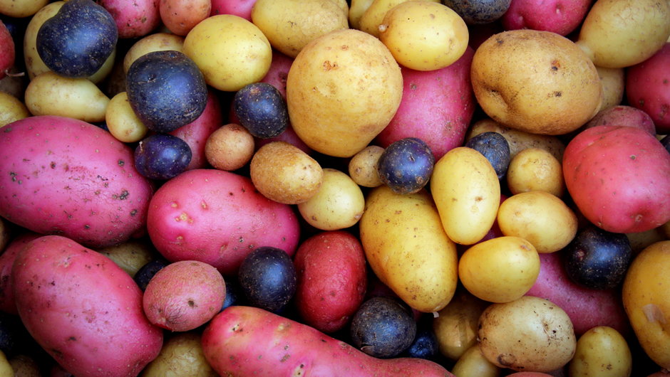 Kolorowe ziemniaki