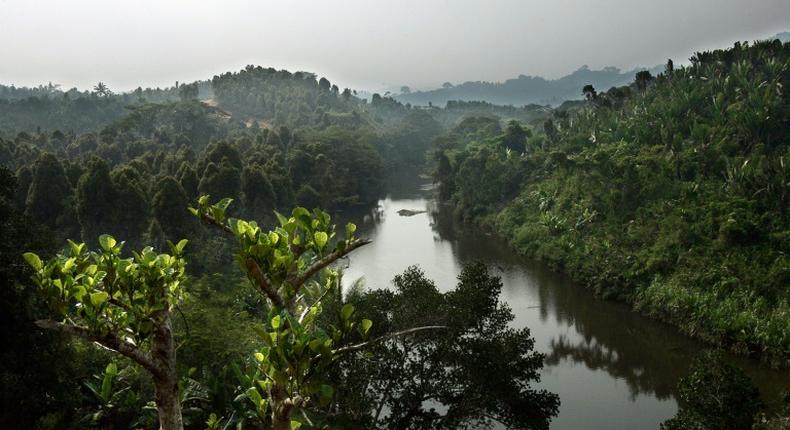 Madagascar is the world's fourth largest island, bigger than Spain or Thailand in size