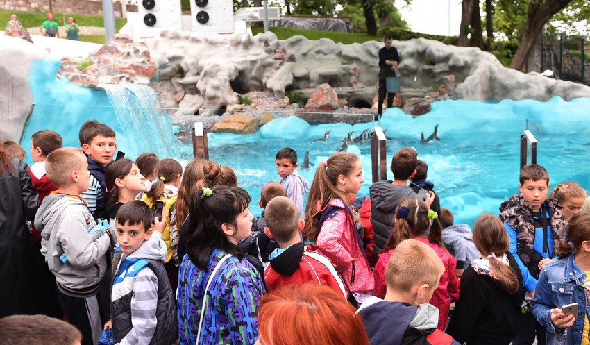 Zoološki vrt godišnje poseti 400.000 dece i odraslih