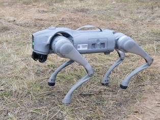 Robotyczne psy i roje dronów ze sztuczną inteligencją. Chińczycy szykują nowe rodzaje broni