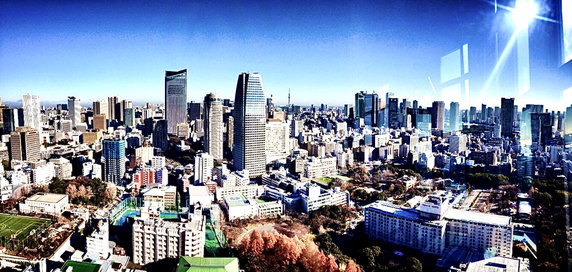 Nazwa Tokio oznacza „Wschodnią Stolicę”. Do 1868 roku miasto nazywało się Edo