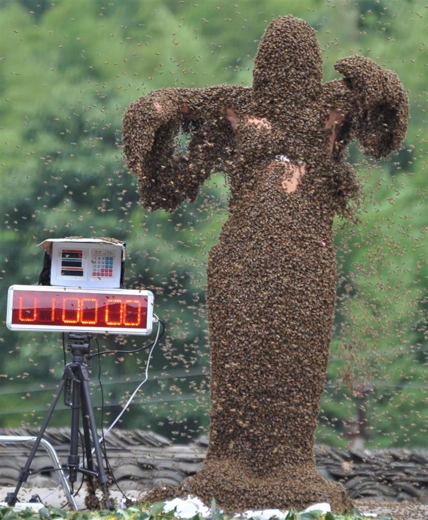 Człowiek, którego lubią pszczoły