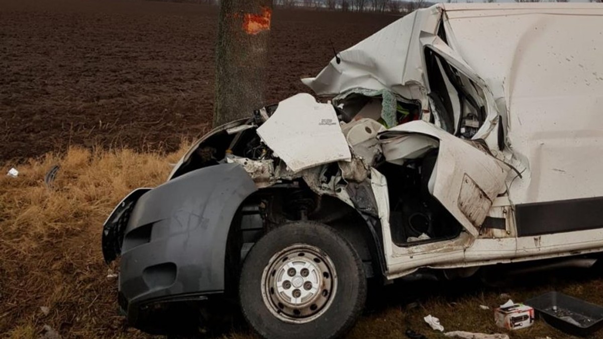 Opolskie. Wypadek na drodze krajowej nr 46. Bus uderzył w drzewo