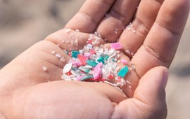 mikroplastik-w-twoim-ciele-naukowcy-bija-na-alarm-co-juz-wiemy-i-jak-sie-chronic