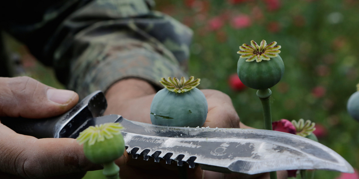 Mexican heroin is flooding the US, and the Sinaloa cartel is steering the flow