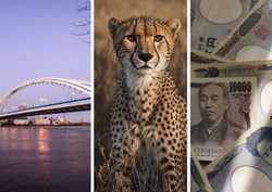 Quiz z wiedzy ogólnej. Tylko najlepsi odpowiedzą 12/12. Jesteś prymusem?