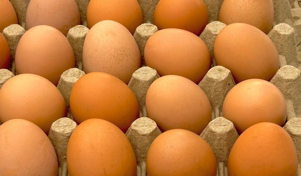 Jaja imaju prirodnu zaštitu - tanki sloj na ljusci koji sprečava prodor bakterija