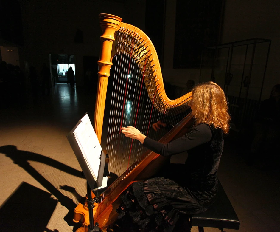Izložbu je pratio koncert harfistkinje Milene Stanišić