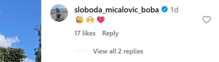 Sloboda i Ana, komentari