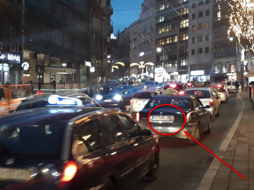 Naš reporter uslikao "divljaka"