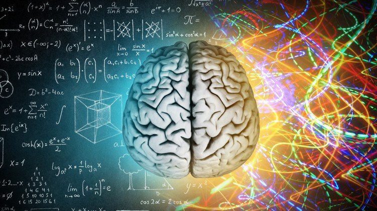 tanulás alkalmazkodás agy kutatás