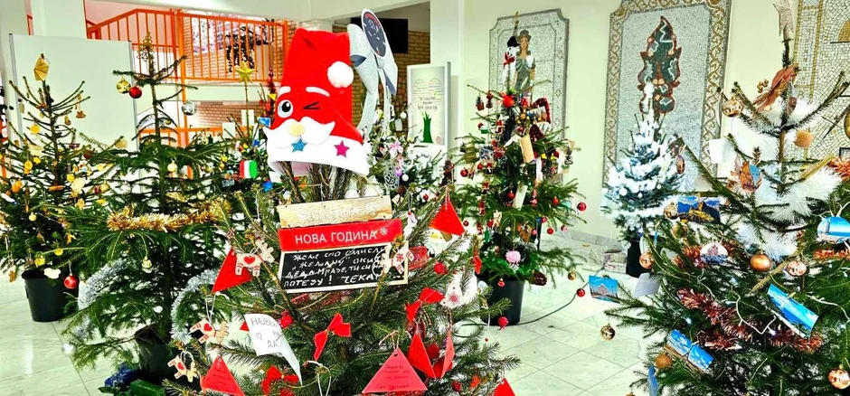 "Čim smo čuli ideju, i mi i đaci, prihvatili smo je i vrlo brzo su sadnice nabavljene, a rezultat svega vidite na fotografijama", kaže Dušica Gojković, profesorka srpskog jezika i književnosti