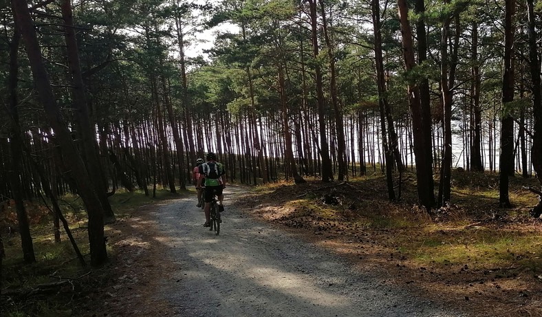 Krynica Morska oraz jej okolice. Ścieżki i trasy rowerowe