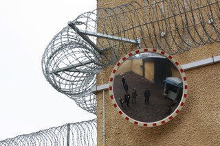 Odpowiedzialność za błędy urzędników – między automatyzmem a martwotą