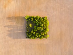 Niezwykłe zdjęcia Polski z lotu ptaka, czyli projekt Wojciecha Radwańskiego "Polska górą!" [FOTO]