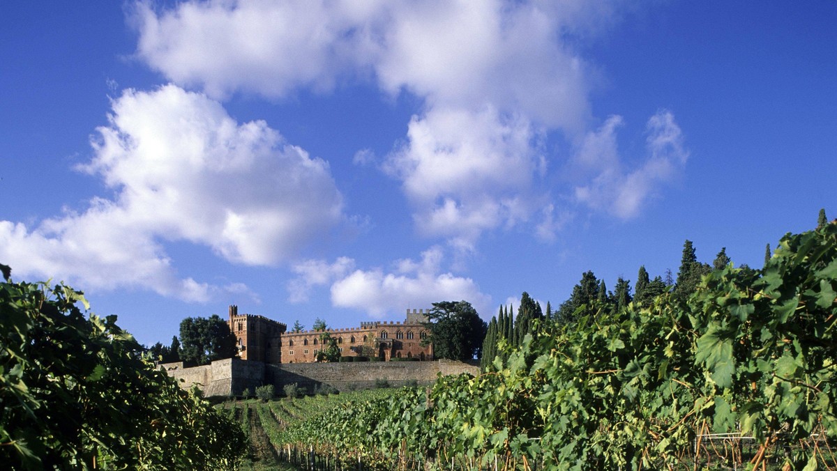 italy, tuscany, gaiole in chianti, broglio castle 