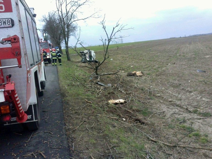 Siedzina wypadek samochodowy