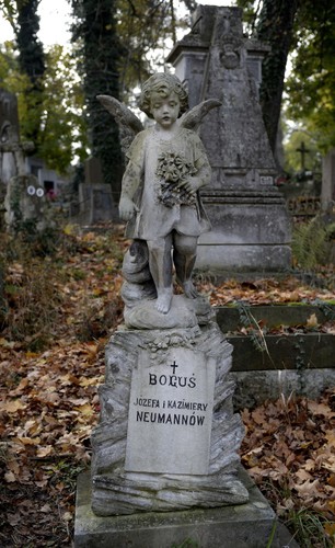 Polskie groby na Cmentarzu Łyczakowskim we Lwowie , PAP/Darek Delmanowicz