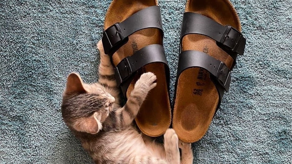 Kultowe klapki Birkenstock