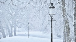 Ferie zimowe 2026 wystartowały. O tych obowiązkach muszą pamiętać organizatorzy wypoczynku dla dzieci