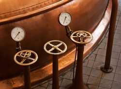 Ulubiony przez Polaków gatunek piwa w defensywie?