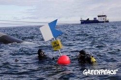 Aktywiści Greenpeace na dnie Bałtyku. Nietypowy protest ws. działań Niemiec
