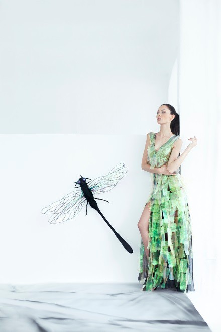 Bartek Janusz: kolekcja Dragon Fly