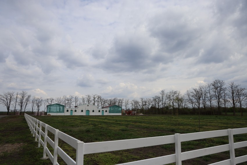 Branko Babić Ratkovo 